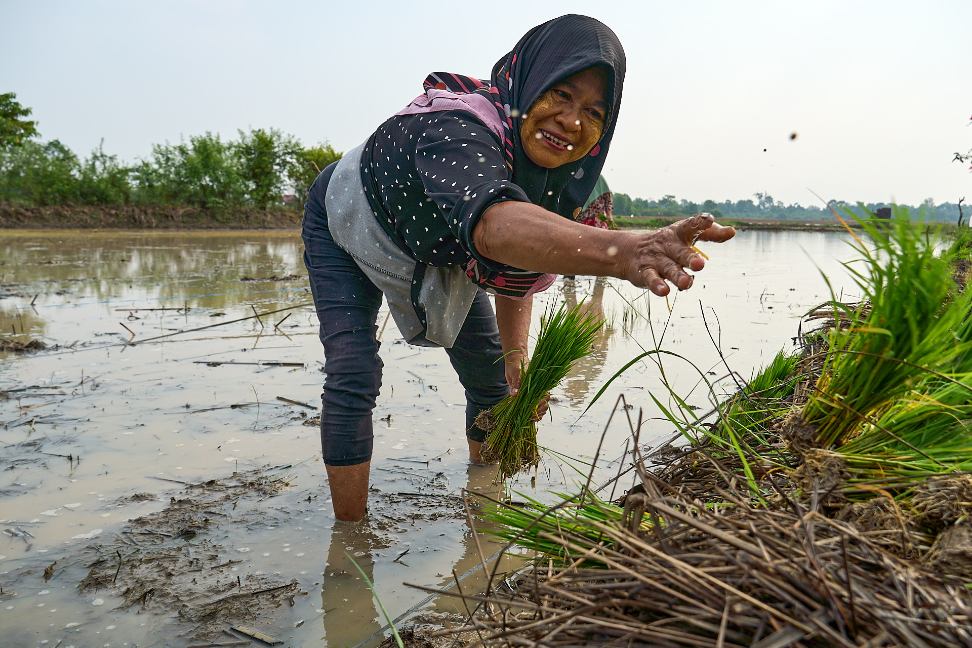 Baselang Ka Umo Jambi
