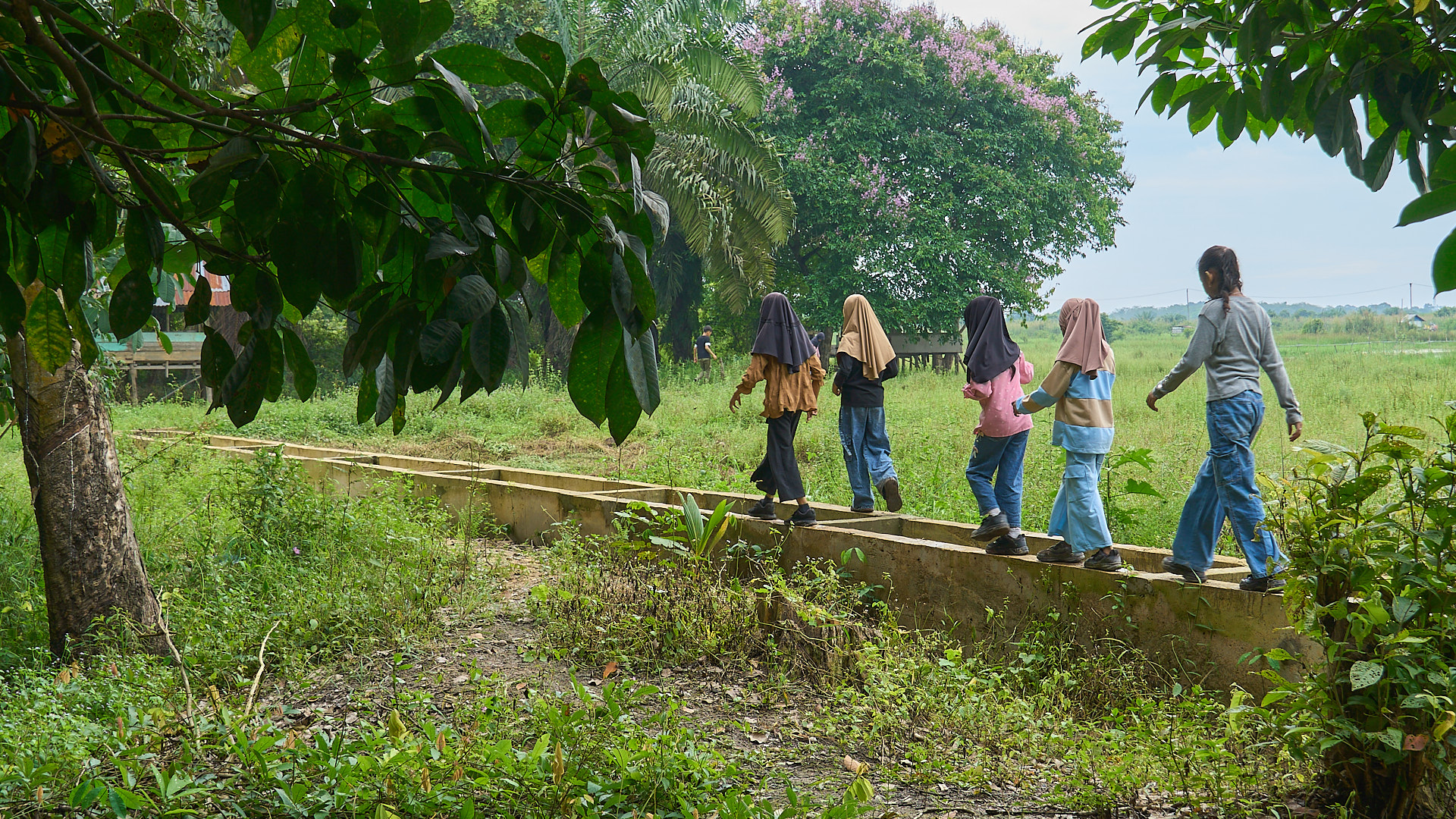 Students of Sekolah Alam Lubuk Pusako farming in Muaro Jambi